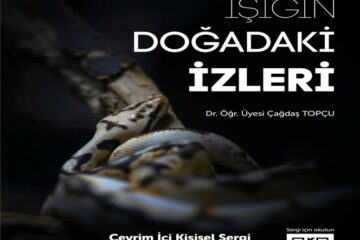Işığın Doğadaki İzleri